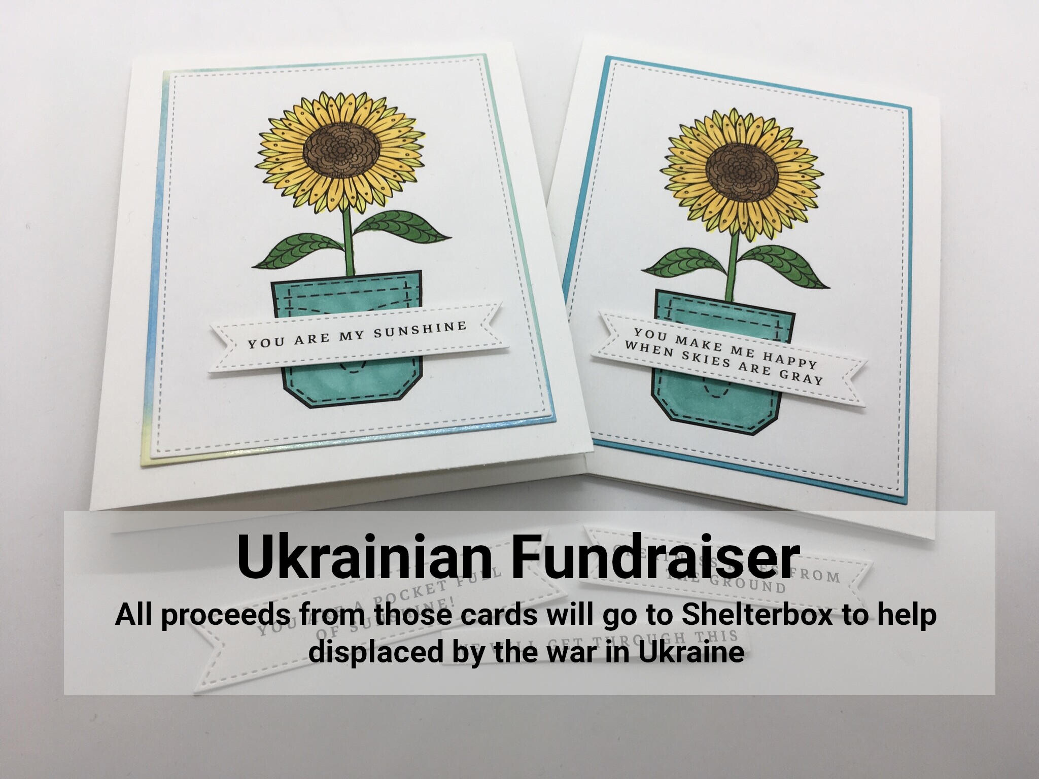 Ukrainian fundraiser